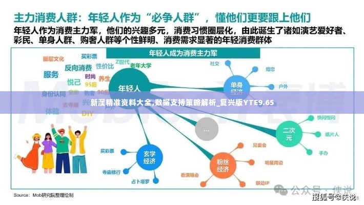 新澳精准资料大全,数据支持策略解析_复兴版YTE9.65