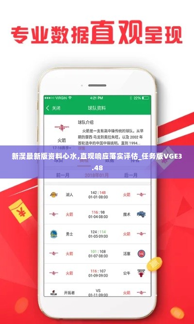 新澳最新版资料心水,直观响应落实评估_任务版VGE3.48