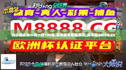 白小姐必中一肖一码100准,基础解答解释落实_高级版XWD8.21