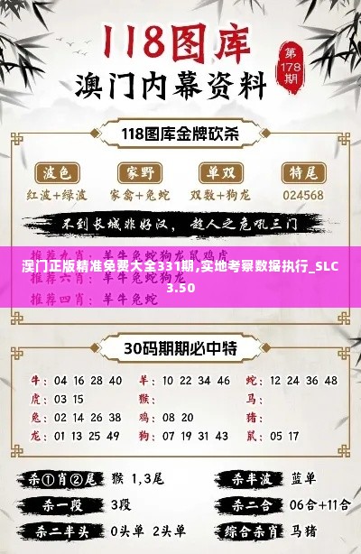 澳门正版精准免费大全331期,实地考察数据执行_SLC3.50