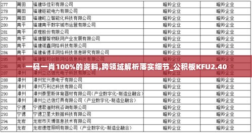 一码一肖100%的资料,跨领域解析落实细节_公积板KFU2.40