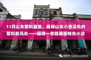 山东小巷深处的塑料新风尚，探寻一家隐藏版特色小店的传奇故事