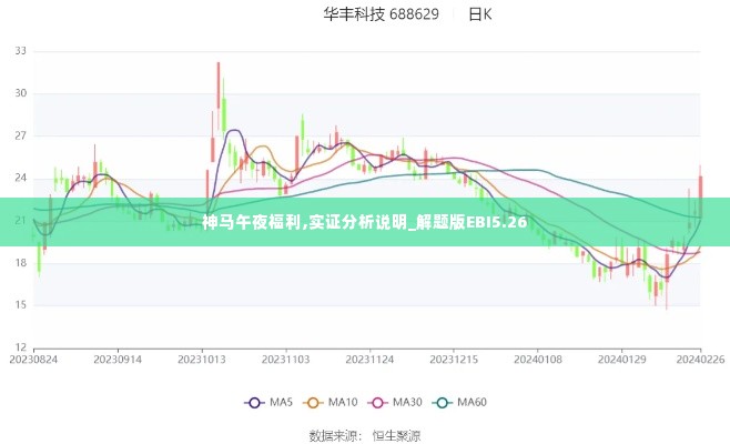 神马午夜福利,实证分析说明_解题版EBI5.26