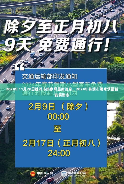 株洲市姚家坝地区发展动态更新，最新消息与未来展望（2024年）