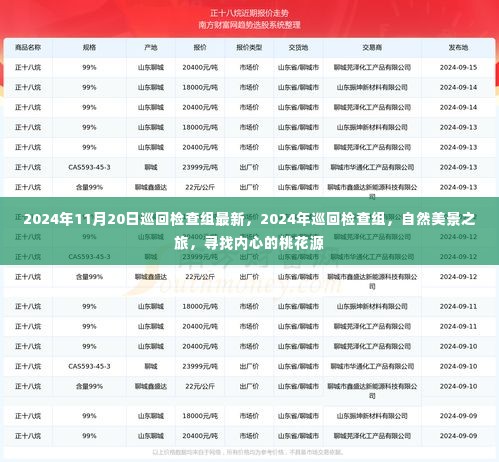 2024巡回检查组最新动态，自然美景之旅，探寻内心桃花源