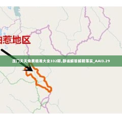 澳门天天免费精准大全332期,静谧解答解释落实_AAI3.29