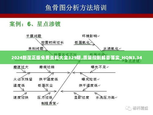 2024新澳正版免费资料大全329期,质量控制解答落实_HQN3.34