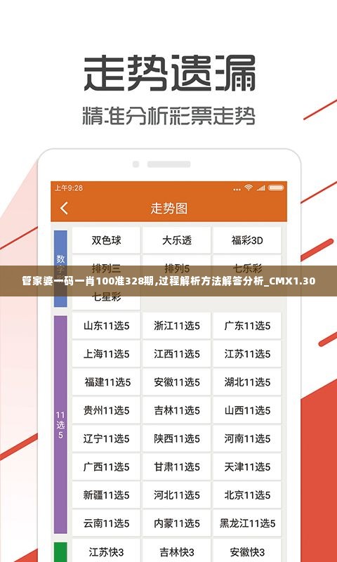 管家婆一码一肖100准328期,过程解析方法解答分析_CMX1.30