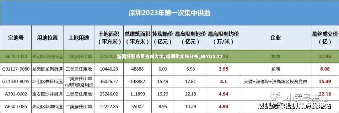 新奥好彩免费资料大全,精细化实施分析_WYU2.72