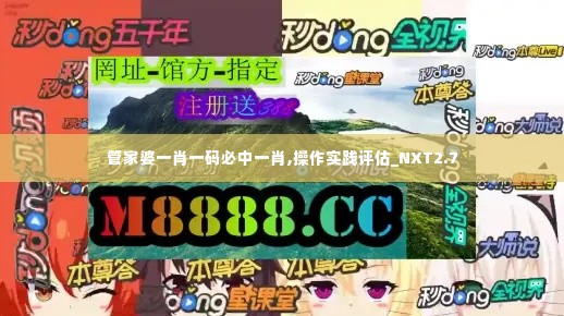 管家婆一肖一码必中一肖,操作实践评估_NXT2.7