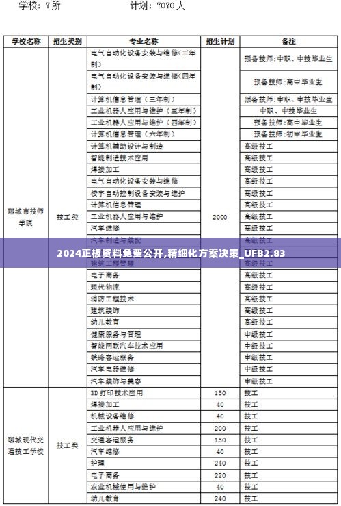 2024正板资料免费公开,精细化方案决策_UFB2.83