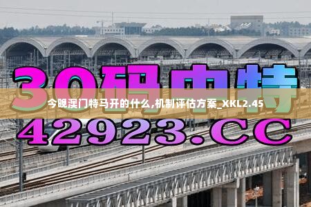 今晚澳门特马开的什么,机制评估方案_XKL2.45