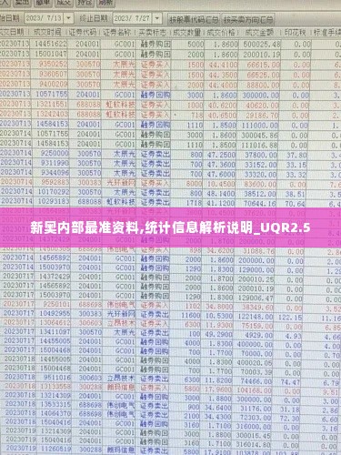 新奥内部最准资料,统计信息解析说明_UQR2.5