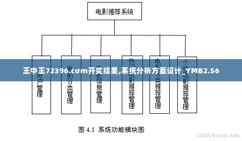 王中王72396.cσm开奖结果,系统分析方案设计_YMB2.56