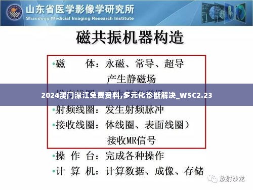 2024澳门濠江免费资料,多元化诊断解决_WSC2.23