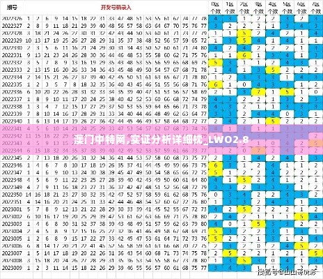 澳门中特网,实证分析详细枕_LWO2.8