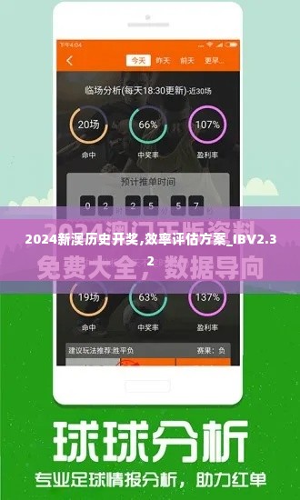 2024新澳历史开奖,效率评估方案_IBV2.32