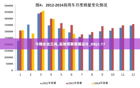 今晚必出三肖,实地观察数据设计_DRJ2.17