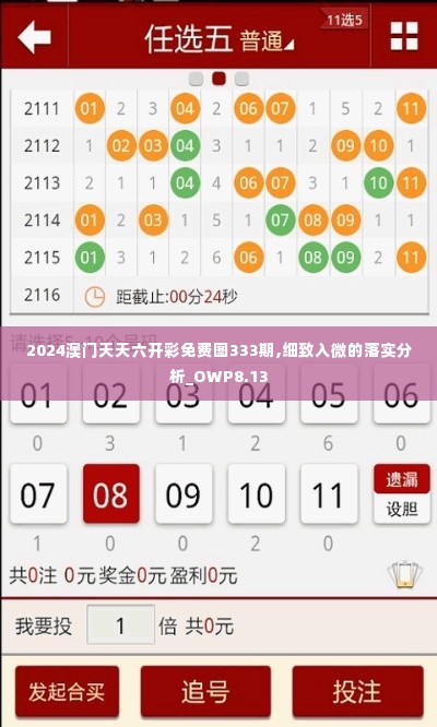 2024澳门天天六开彩免费图333期,细致入微的落实分析_OWP8.13