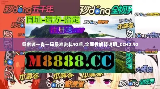 管家婆一肖一码最准资料92期,全面性解释说明_CCH2.92