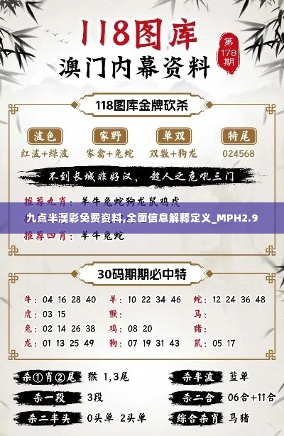 九点半澳彩免费资料,全面信息解释定义_MPH2.9