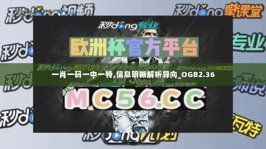 一肖一码一中一特,信息明晰解析导向_OGB2.36