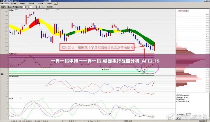 一肖一码中持一一肖一码,稳固执行战略分析_AFE2.15