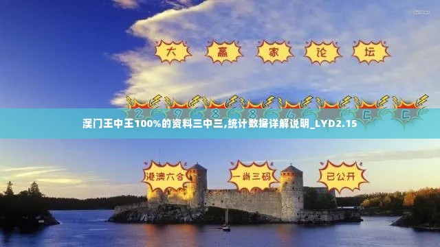 澳门王中王100%的资料三中三,统计数据详解说明_LYD2.15