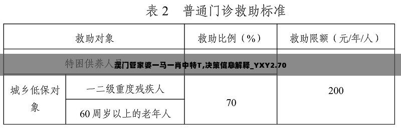 澳门管家婆一马一肖中特T,决策信息解释_YXY2.70