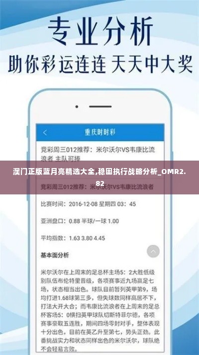 澳门正版蓝月亮精选大全,稳固执行战略分析_OMR2.82