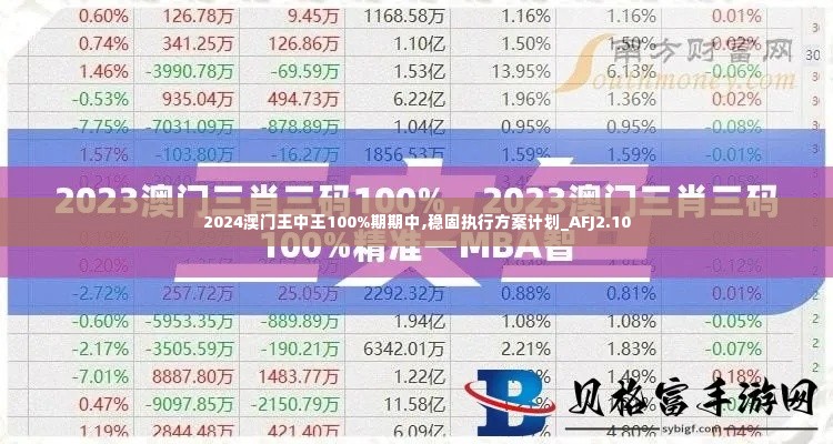 2024澳门王中王100%期期中,稳固执行方案计划_AFJ2.10