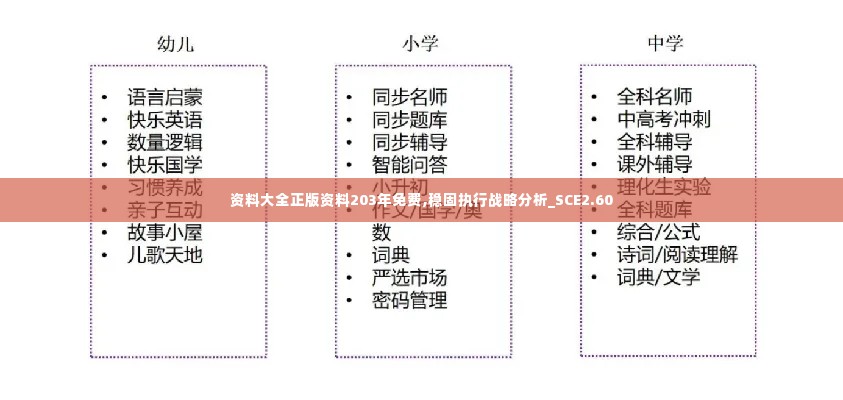 资料大全正版资料203年免费,稳固执行战略分析_SCE2.60