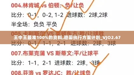 王中王最准100%的资料,稳固执行方案计划_VJO2.67