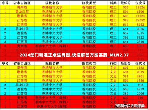 2024澳门精准正版生肖图,快速解答方案实践_MLN2.37