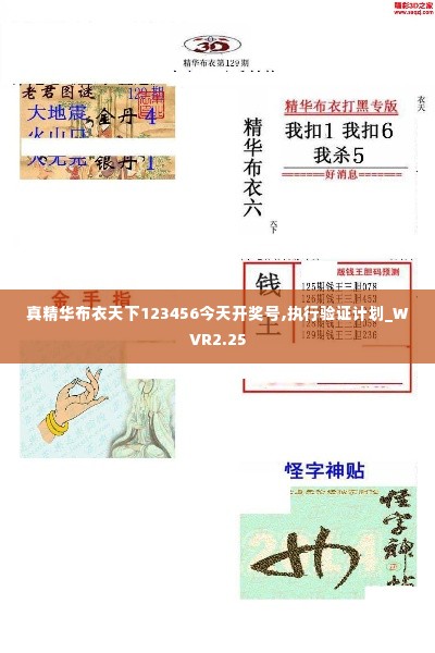 真精华布衣天下123456今天开奖号,执行验证计划_WVR2.25