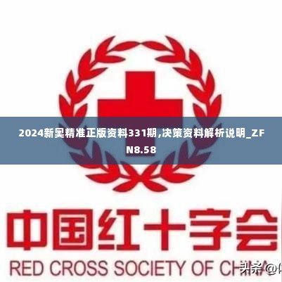 2024新奥精准正版资料331期,决策资料解析说明_ZFN8.58