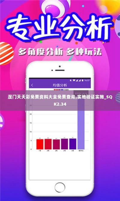 澳门天天彩免费资料大全免费查询,实地验证实施_SQK2.34