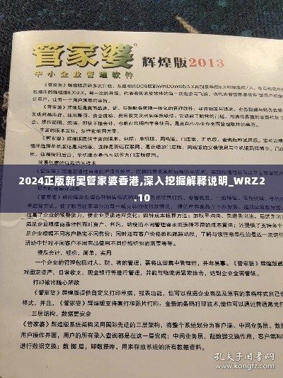 2024正版新奥管家婆香港,深入挖掘解释说明_WRZ2.10