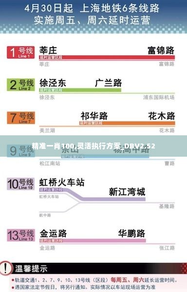 精准一肖100,灵活执行方案_DBV2.52