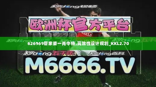 626969管家婆一肖中特,高效性设计规划_KKL2.70