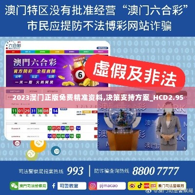 2023澳门正版免费精准资料,决策支持方案_HCD2.95