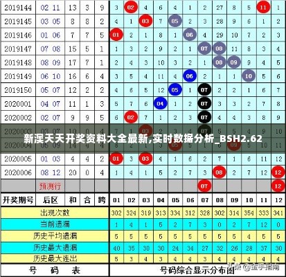 新澳天天开奖资料大全最新,实时数据分析_BSH2.62