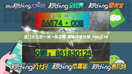 澳门大三巴一肖一码正确,数据详解说明_YFG2.15