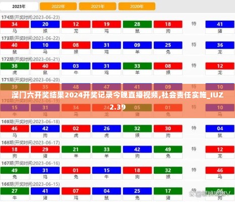 澳门六开奖结果2024开奖记录今晚直播视频,社会责任实施_IUZ2.39