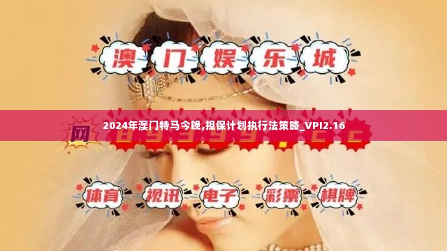 2024年澳门特马今晚,担保计划执行法策略_VPI2.16