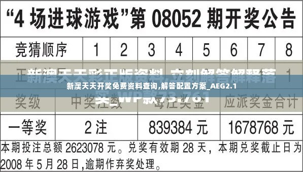 新澳天天开奖免费资料查询,解答配置方案_AEG2.1