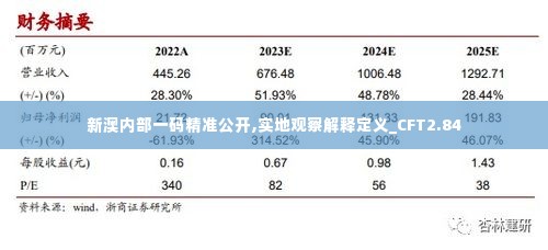 新澳内部一码精准公开,实地观察解释定义_CFT2.84