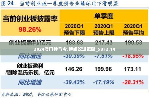 2024澳门特马今,持续改进策略_SBF2.14