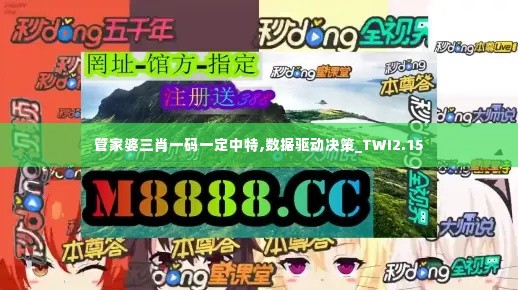 管家婆三肖一码一定中特,数据驱动决策_TWI2.15