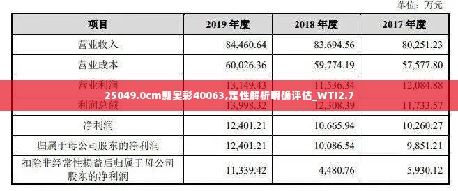 25049.0cm新奥彩40063,定性解析明确评估_WTI2.7